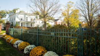 Mums and fence in front of white building